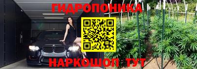 спиды Аргун